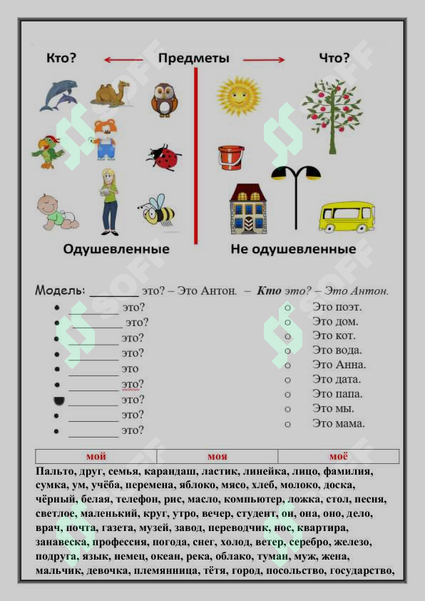 sellerImage