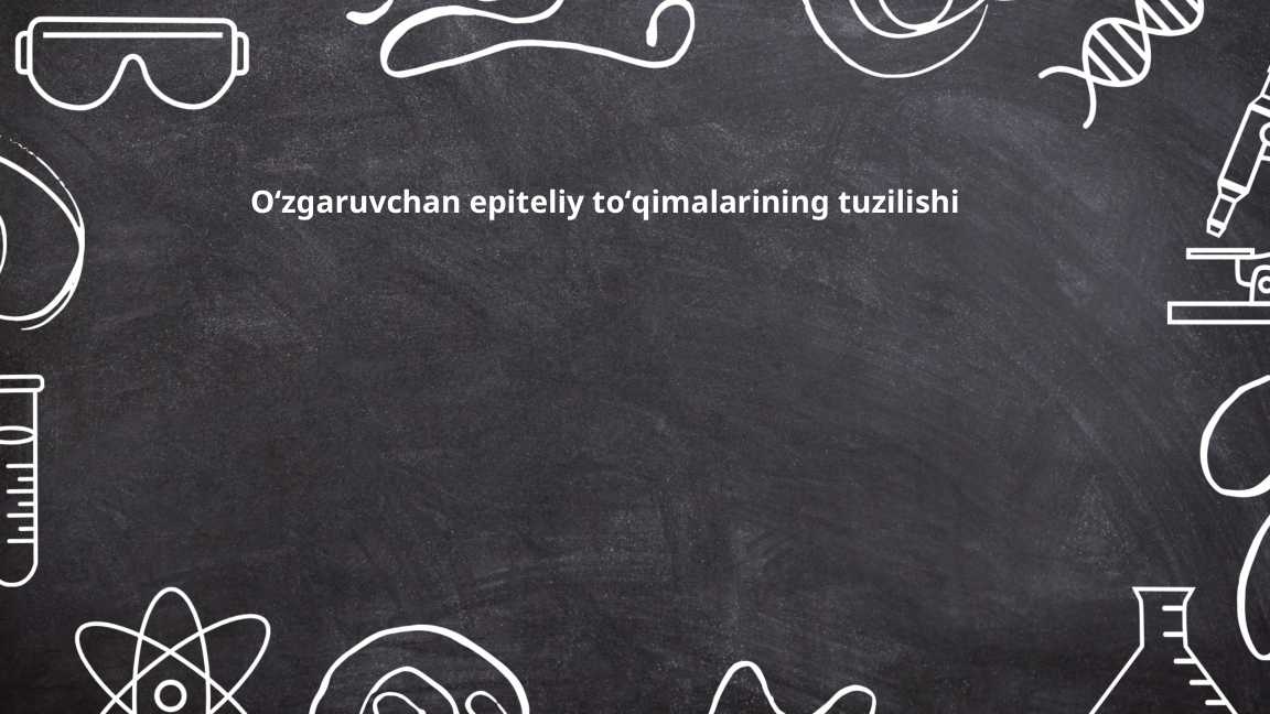 Oʻzgaruvchan epiteliy toʻqimalarining tuzilishi