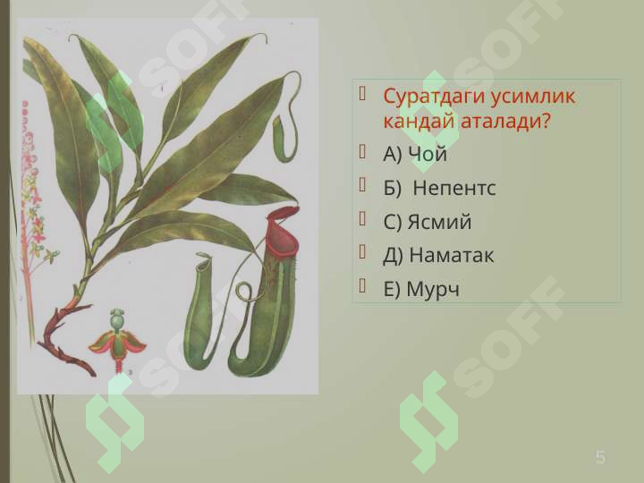 sellerImage