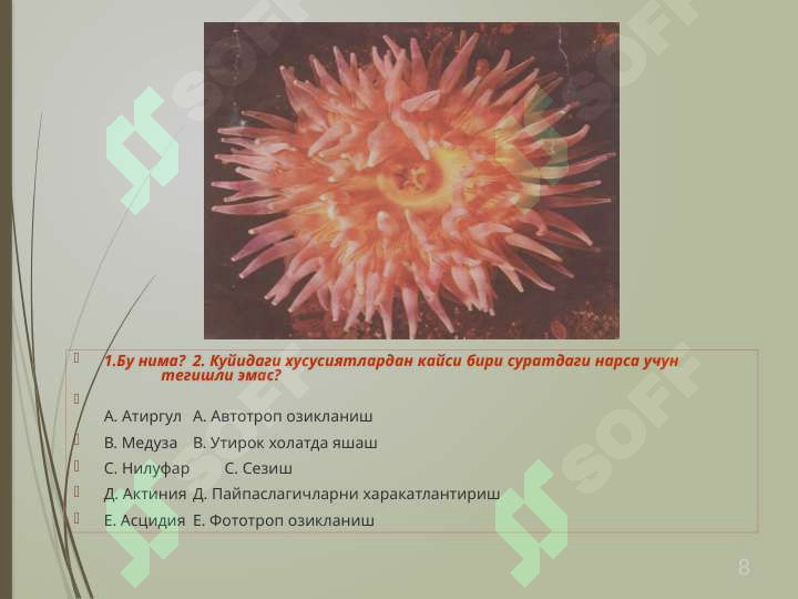 sellerImage