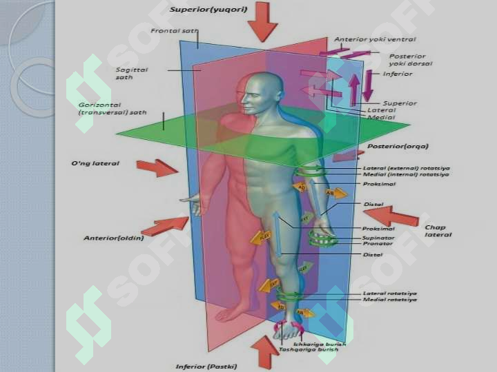 sellerImage