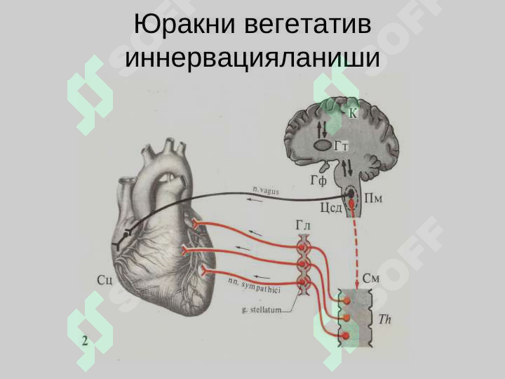 sellerImage
