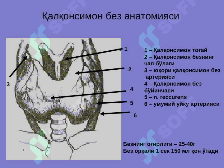 sellerImage