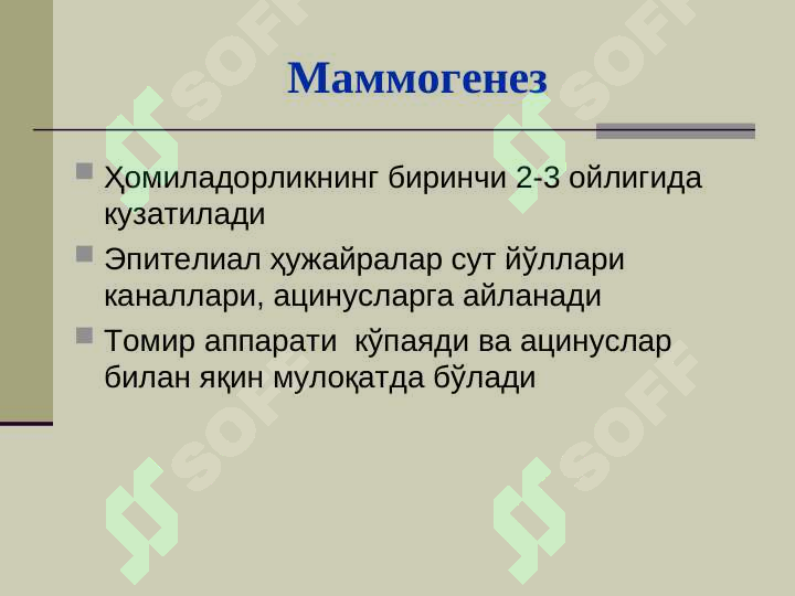 sellerImage