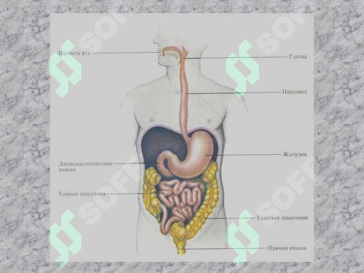 sellerImage