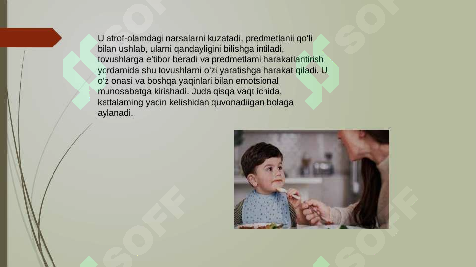 sellerImage