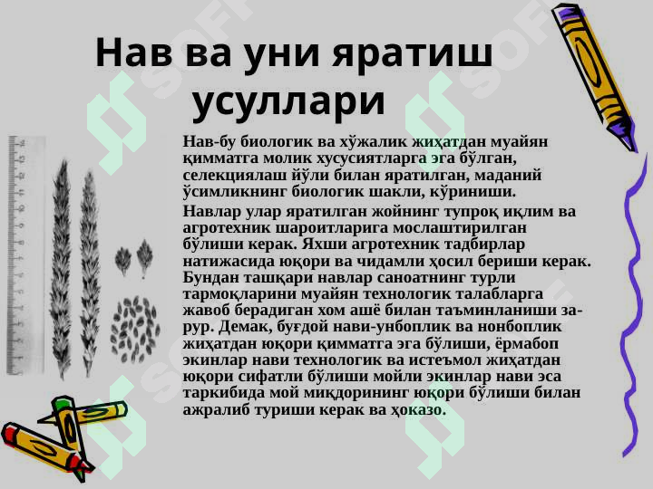 sellerImage
