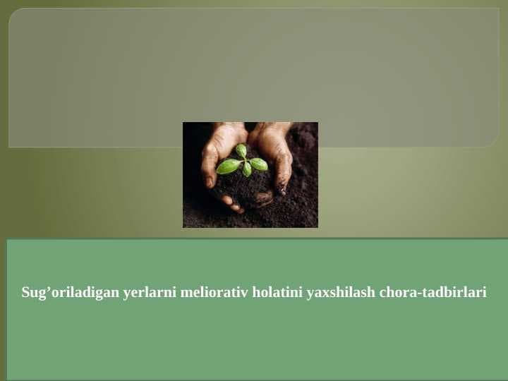 sellerImage