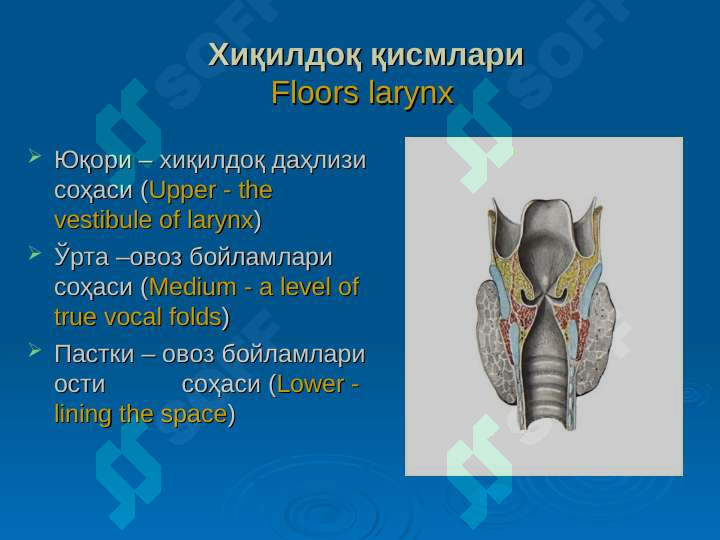sellerImage