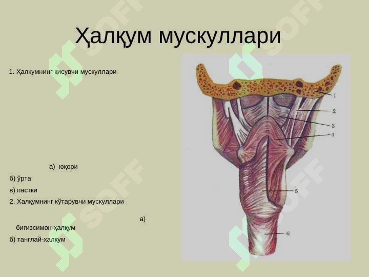 sellerImage