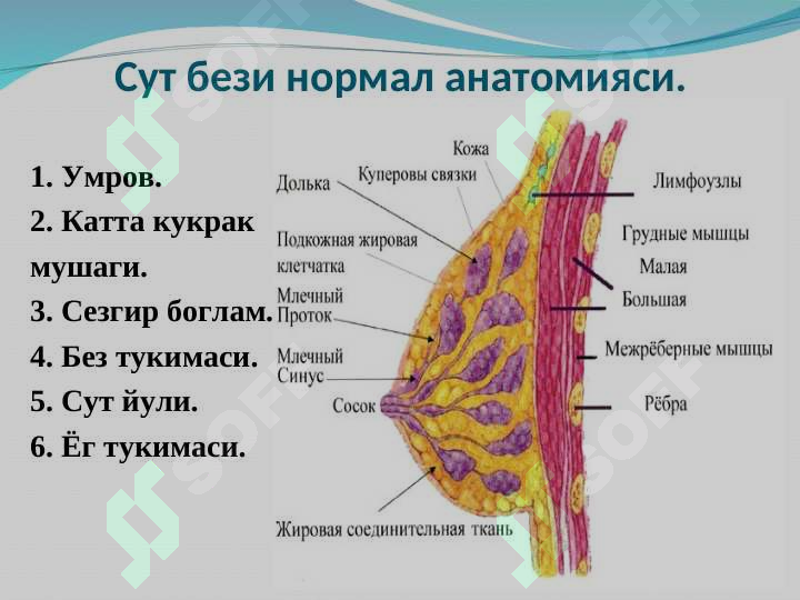 sellerImage