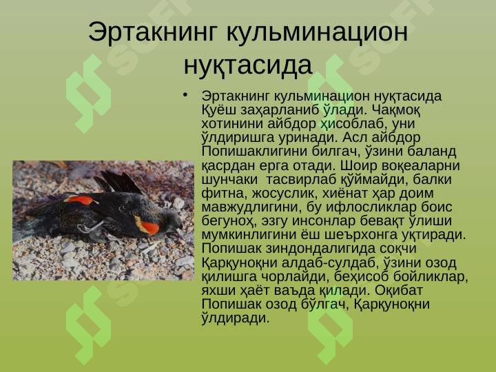 sellerImage