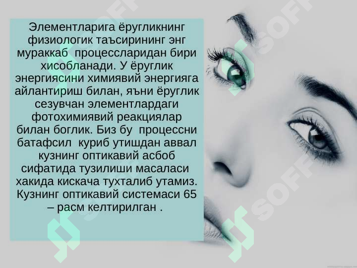 sellerImage
