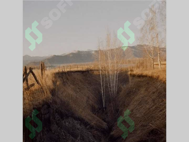 sellerImage
