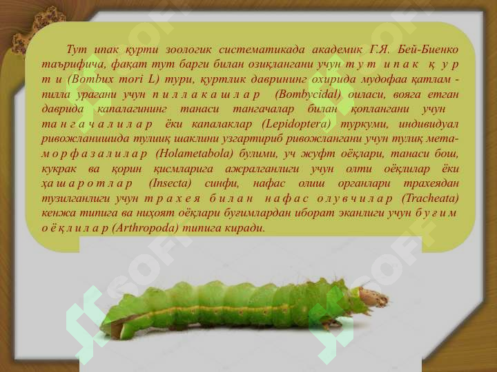 sellerImage