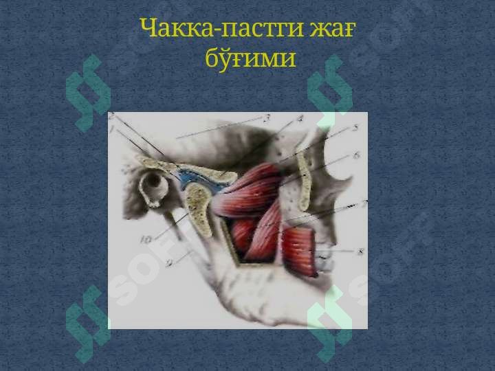 sellerImage