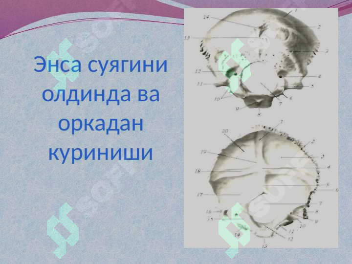 sellerImage