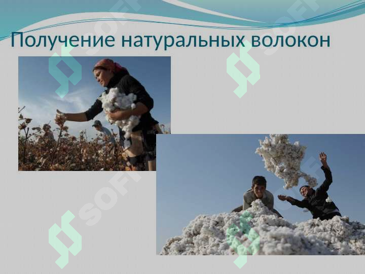 sellerImage