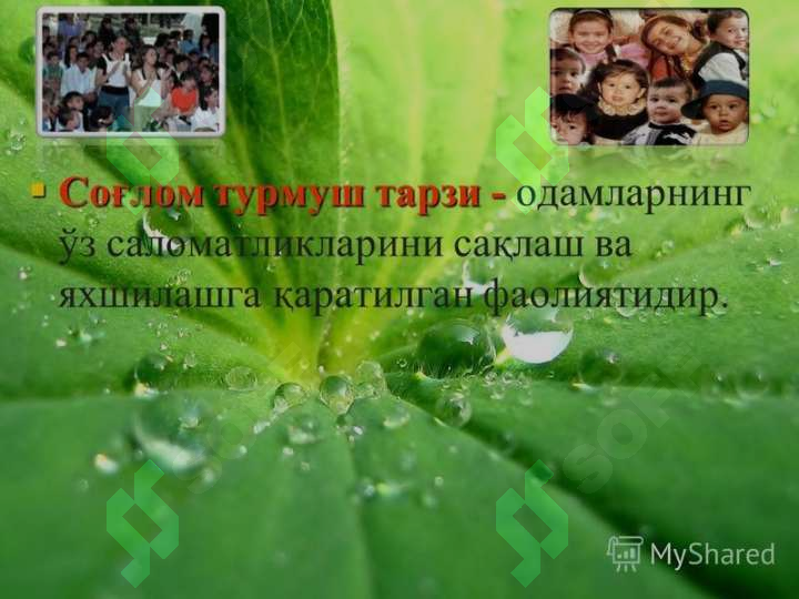 sellerImage