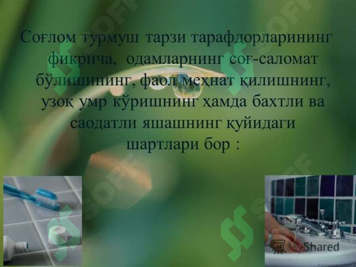 sellerImage