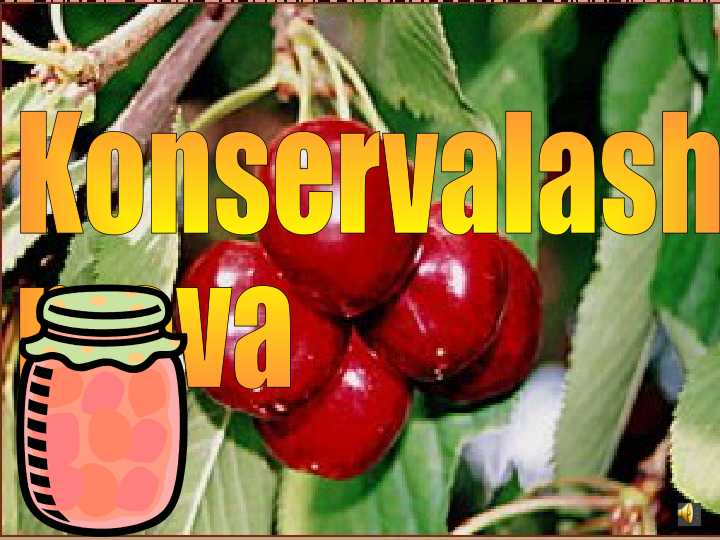 Konservalash