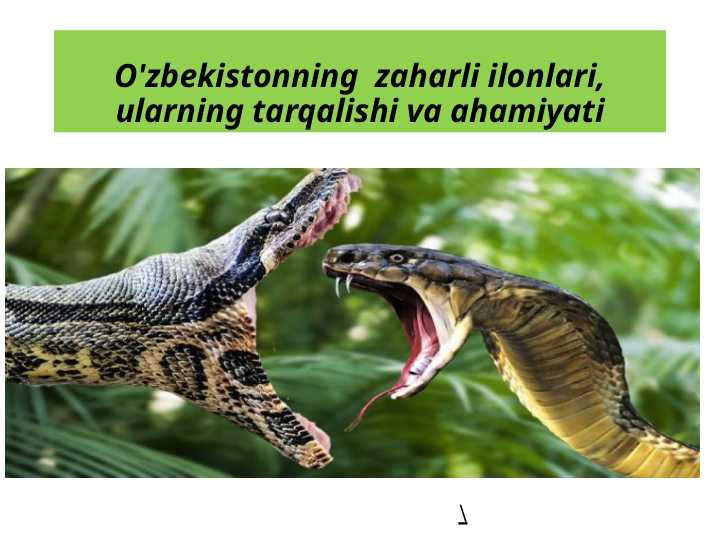 O'zbekistonning  zaharli ilonlari, ularning tarqalishi va ahamiyati