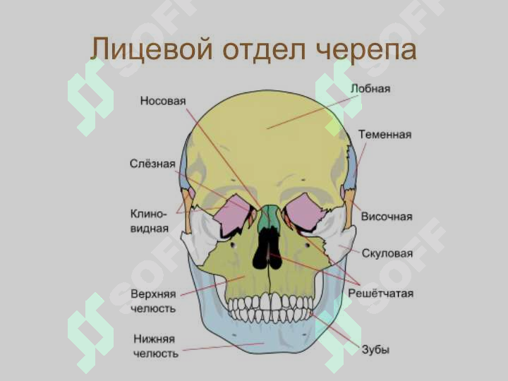 sellerImage