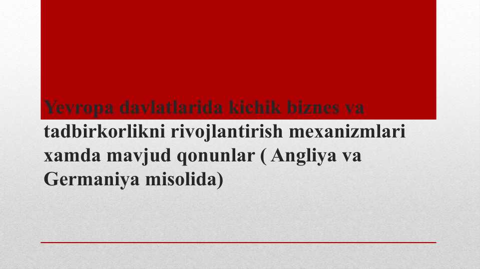 Yevropa davlatlarida kichik biznes va tadbirkorlikni rivojlantirish mexanizmlari xamda mavjud qonunlar ( Angliya va Germaniya misolida )