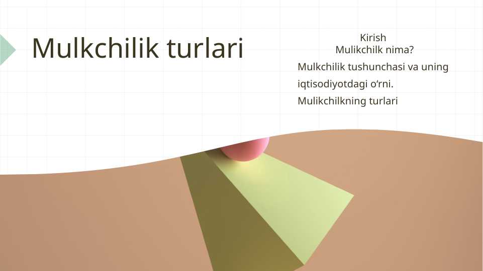 Mulkchilik turlari