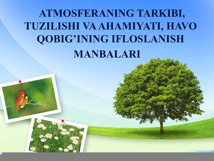 ATMOSFERANING TARKIBI, TUZILISHI VA AHAMIYATI, HAVO QOBIG’INING IFLOSLANISH MANBALARI