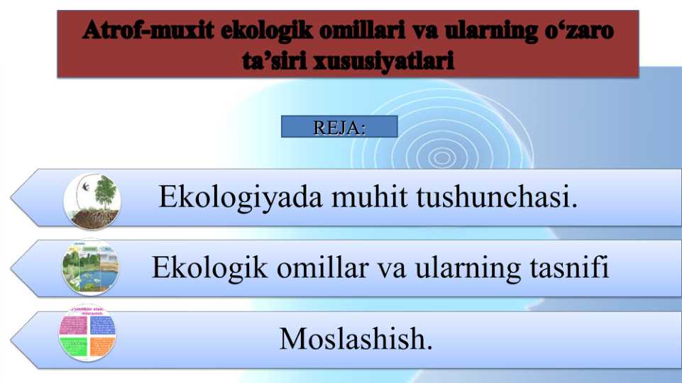 Atrof-muxit ekologik omillari va ularning o‘zaro ta’siri xususiyatlari