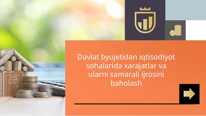 Davlat byujetidan iqtisodiyot sohalarida xarajatlar va ularni samarali ijrosini baholash