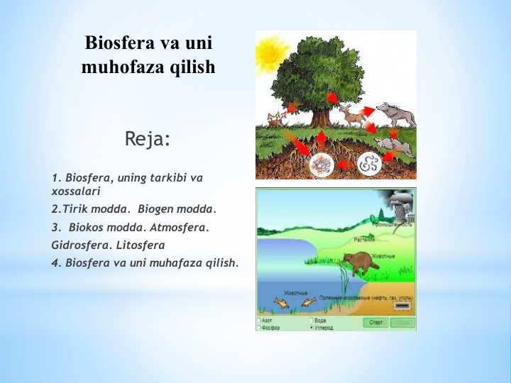 Biosfera va uni muhofaza qilish