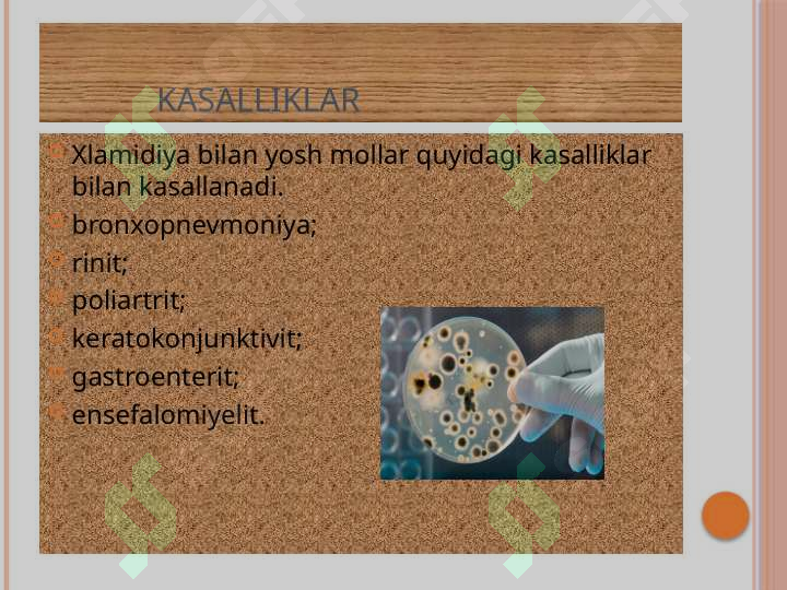 sellerImage
