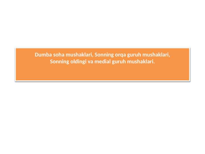 Dumba soha mushaklari, Sonning orqa guruh mushaklari,Sonning oldingi va medial guruh mushaklari