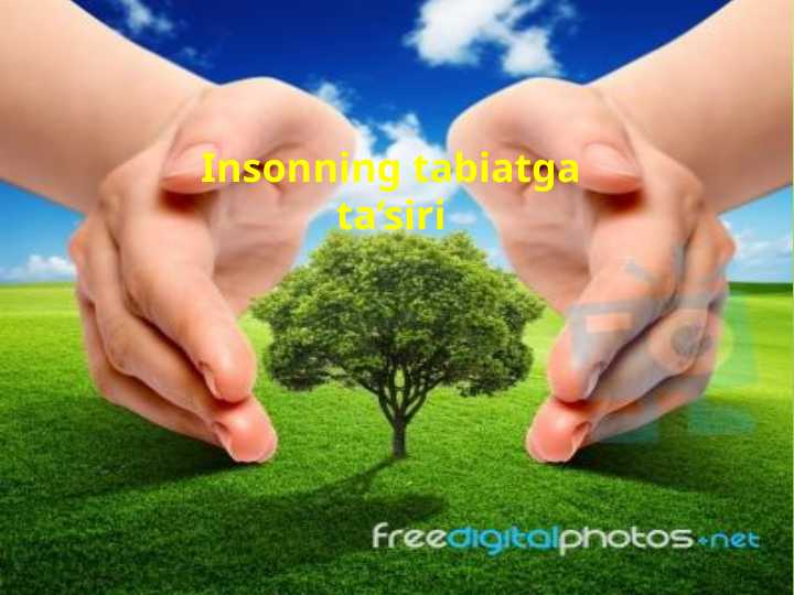 Insonning tabiatga ta’siri