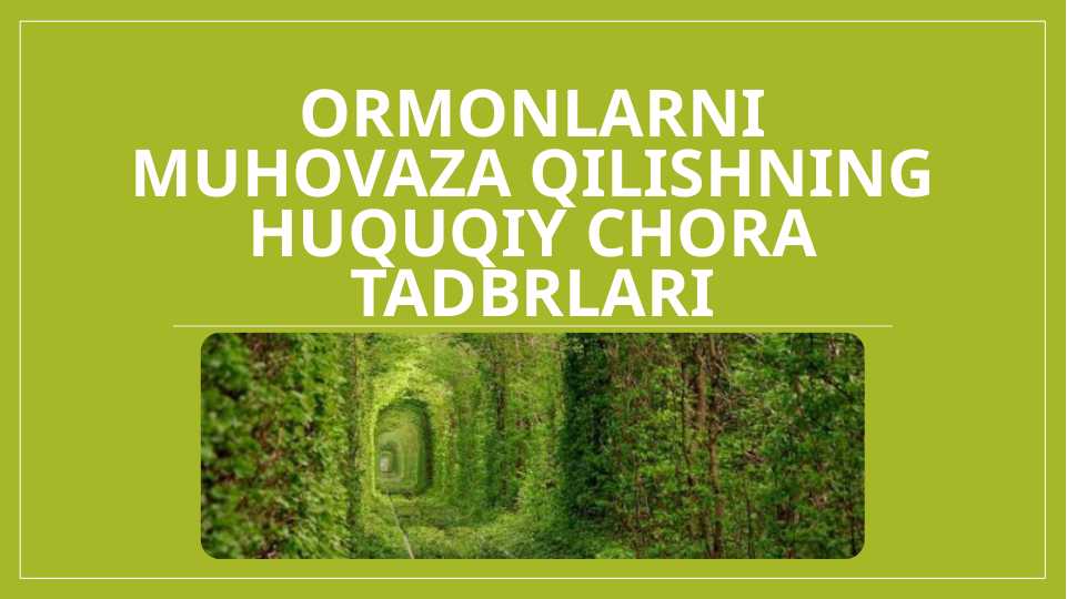 Ormonlarni muhovaza qilishning huquqiy chora tadbrlari
