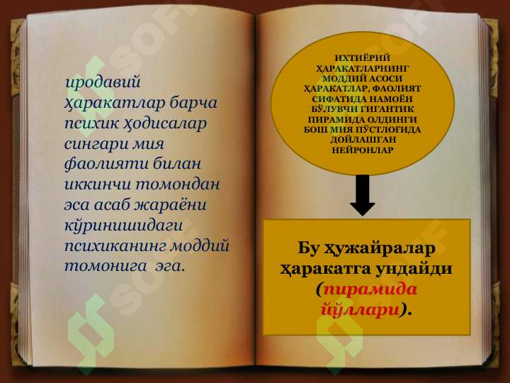 sellerImage