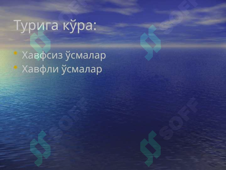 sellerImage