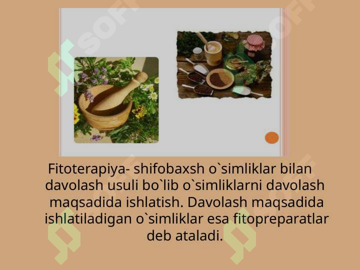 sellerImage