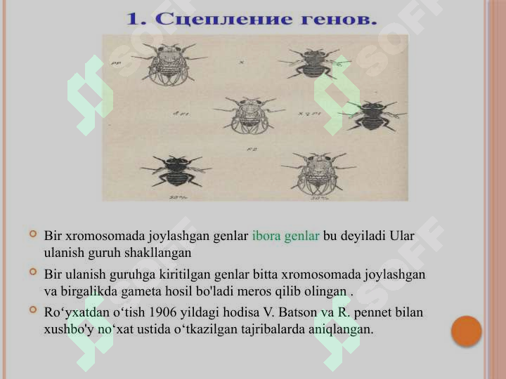 sellerImage