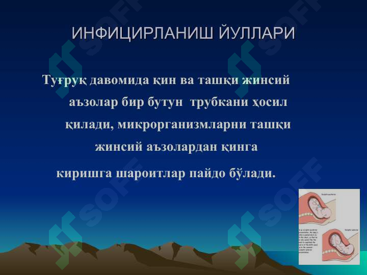 sellerImage