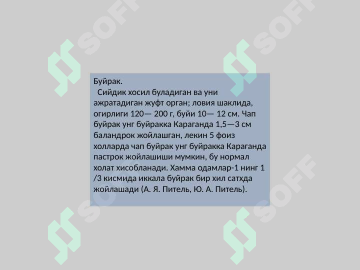sellerImage