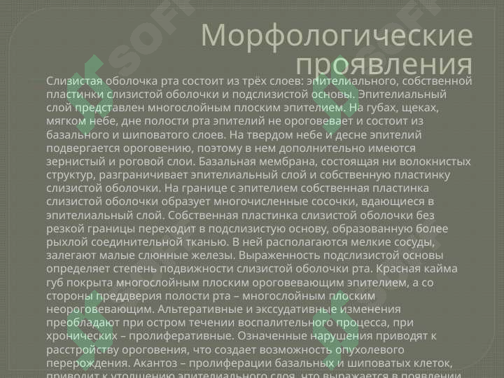 sellerImage