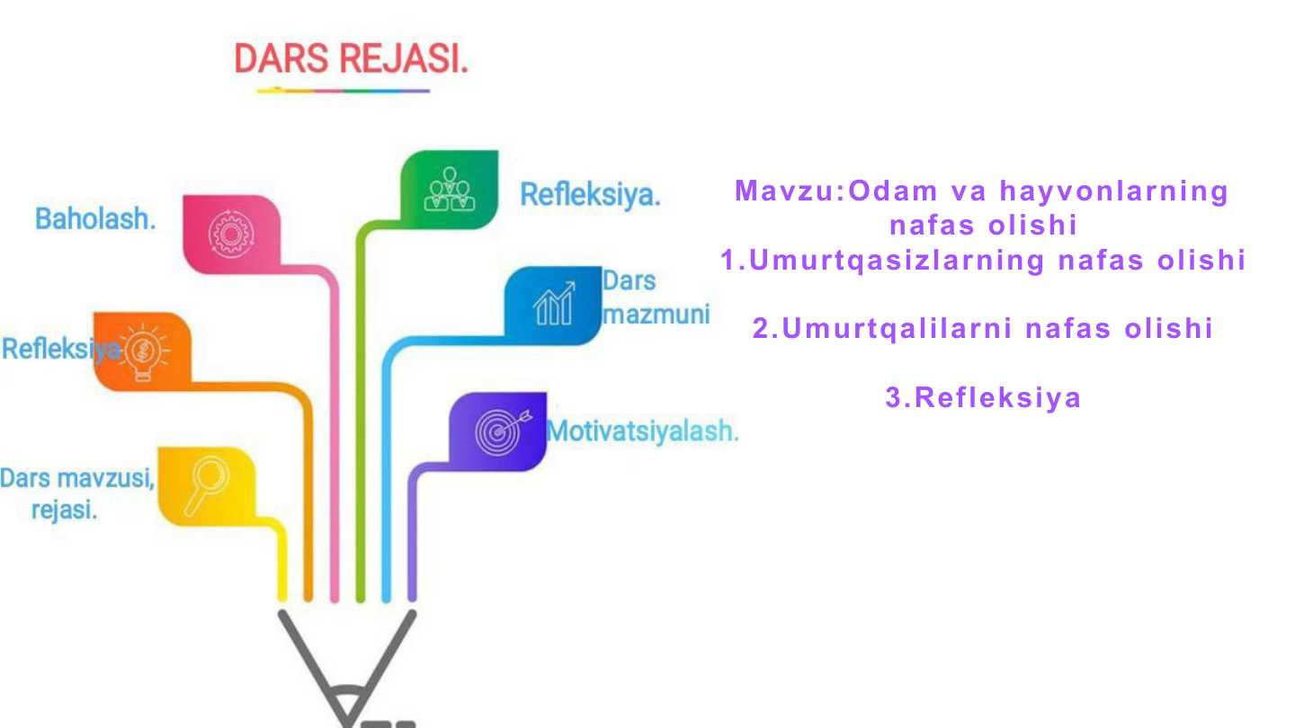 Odam va hayvonlarning nafas olishi