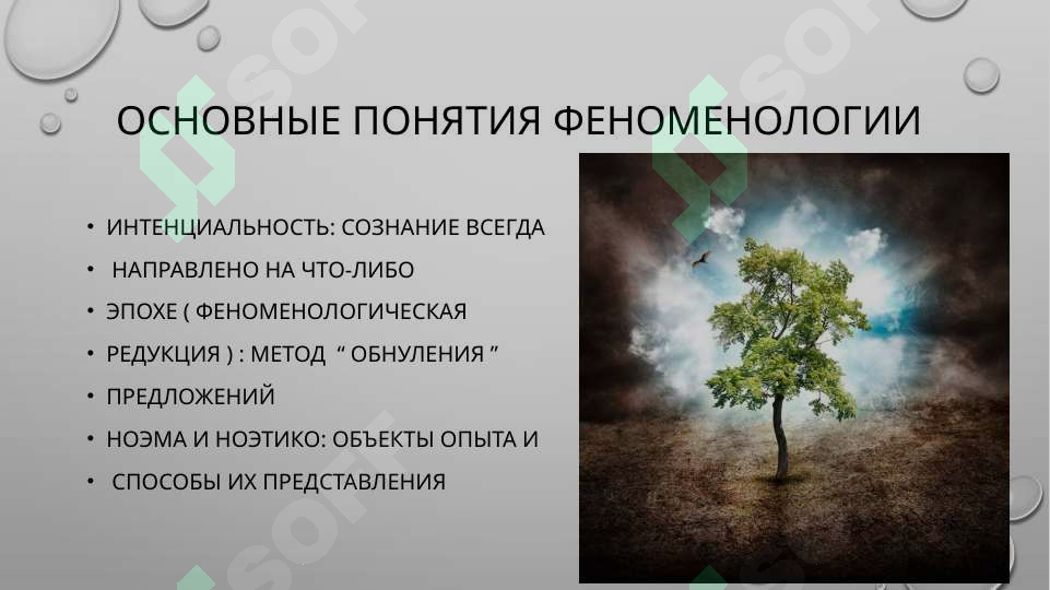sellerImage
