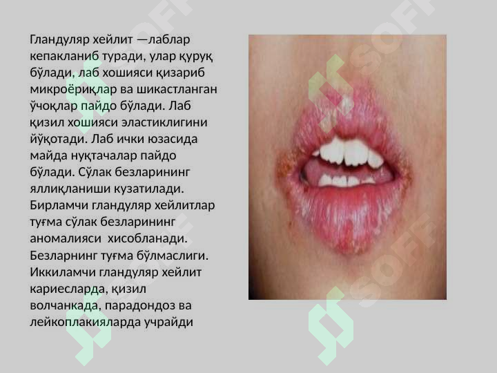 sellerImage