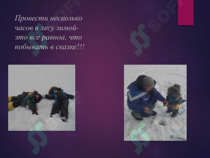 sellerImage