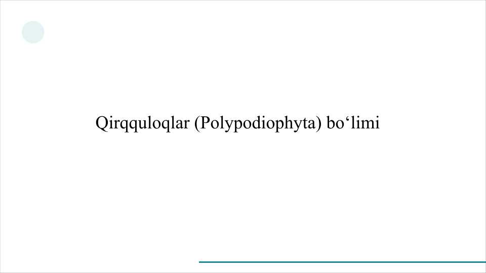 Qirqquloqlar (Polypodiophyta) bo‘limi           QIRQQULOQLAR SLAYD