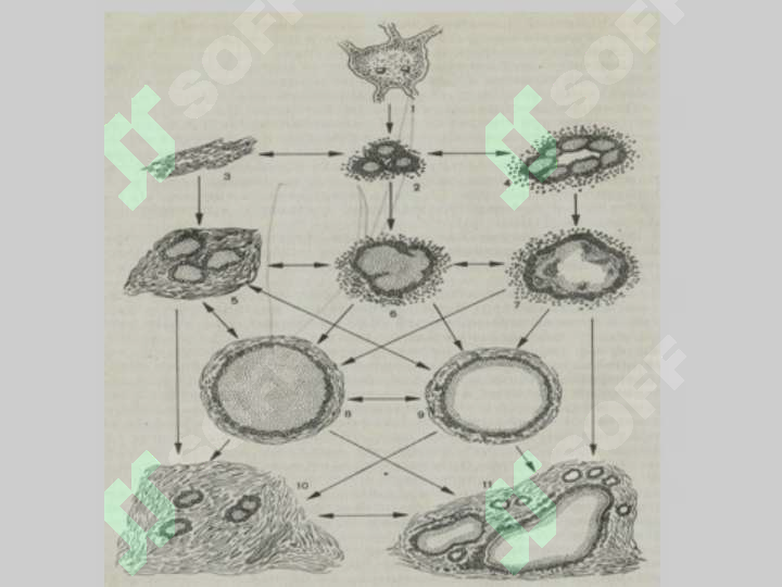 sellerImage